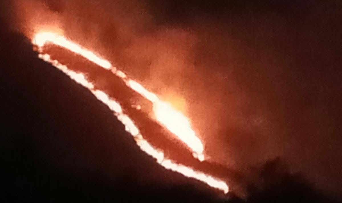Kebakaran Hutan di Lereng Gunung Arjuno Meluas, Diperkirakan 50 Hektare Lahan  Terbakar