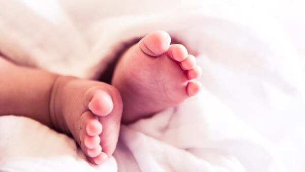 Telah Ditemukan Seorang Bayi Dalam Kondisi Meninggal Dunia Di Pinggir jalan Di Tukka Diduga DiBuang Orang tuanya